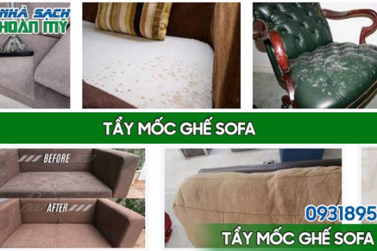 Xử lý ghế da bị mốc