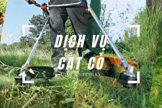Cẩm Nang Cần Biết Về Máy Cắt Cỏ: Loại Máy, Tính Năng và Cách Chọn Máy