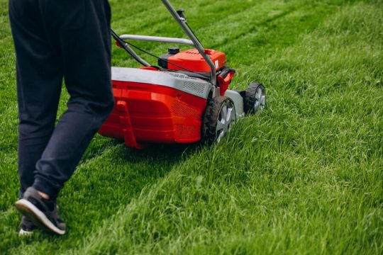 Dịch vụ cắt cỏ sân vườn